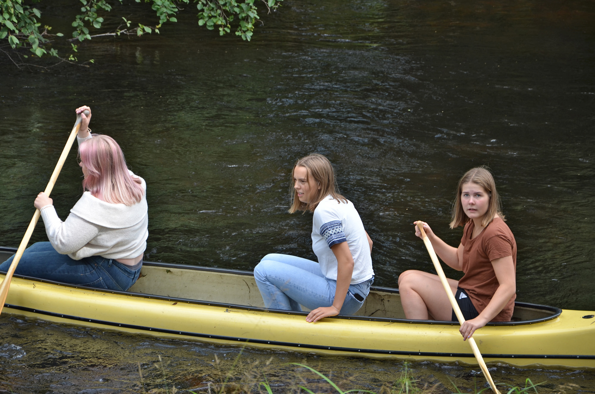 Röste.nu – Röstebilder – Ankracet i Galvån 2019