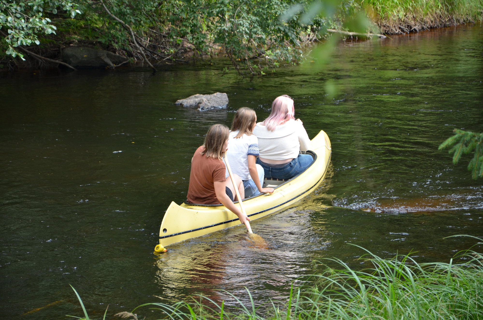 Röste.nu – Röstebilder – Ankracet i Galvån 2019