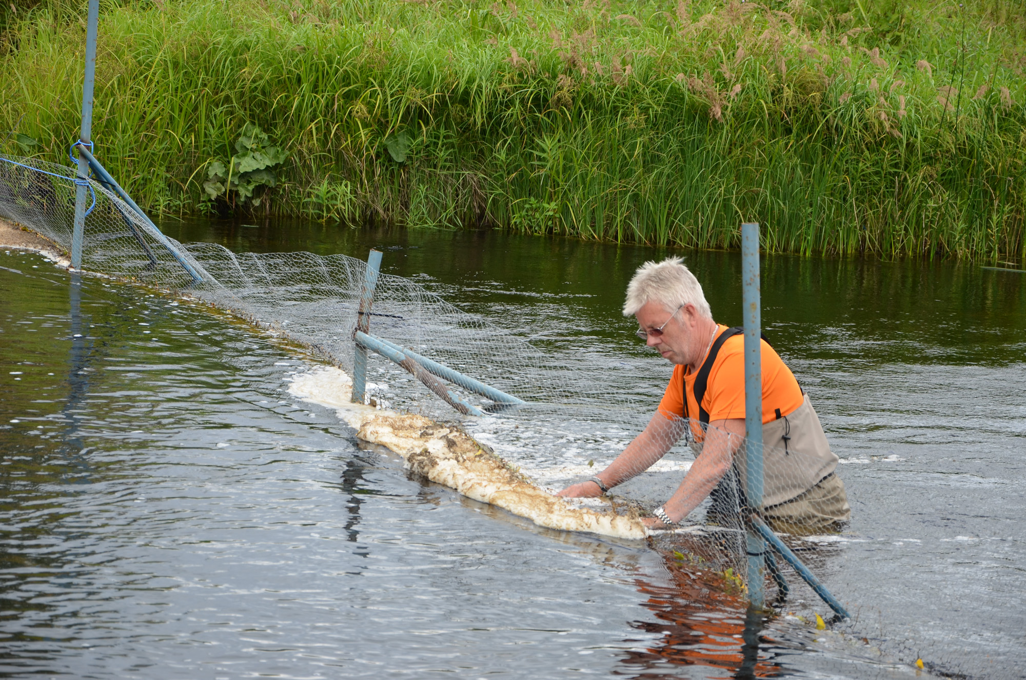 Röste.nu – Röstebilder – Inför ankracet i Galvån 2019