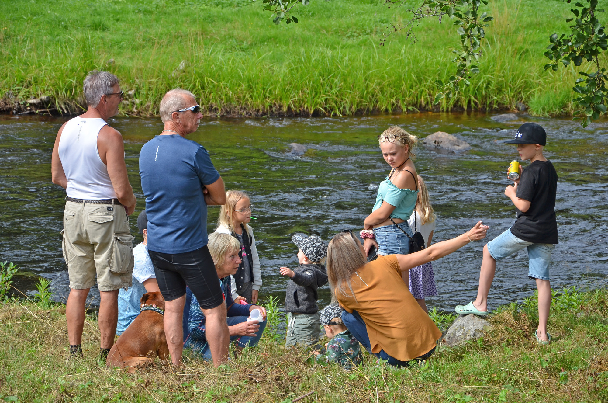 Röste.nu – Röstebilder – Ankracet i Galvån 2019