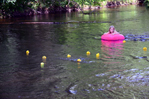 Röste.nu – Röstebilder – Ankracet i Galvån tioårsjubilerade 2015