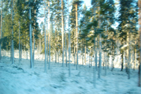 Röste.nu – Röstebilder – Badresa till Aqua Nova äventyrsbad i Borlänge 2007