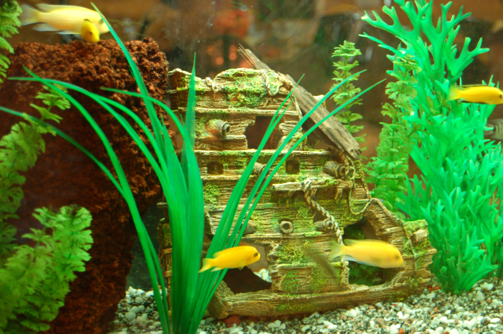 Röste.nu – Röstebilder – Badresa till Fyrishovbadet i Uppsala 2009