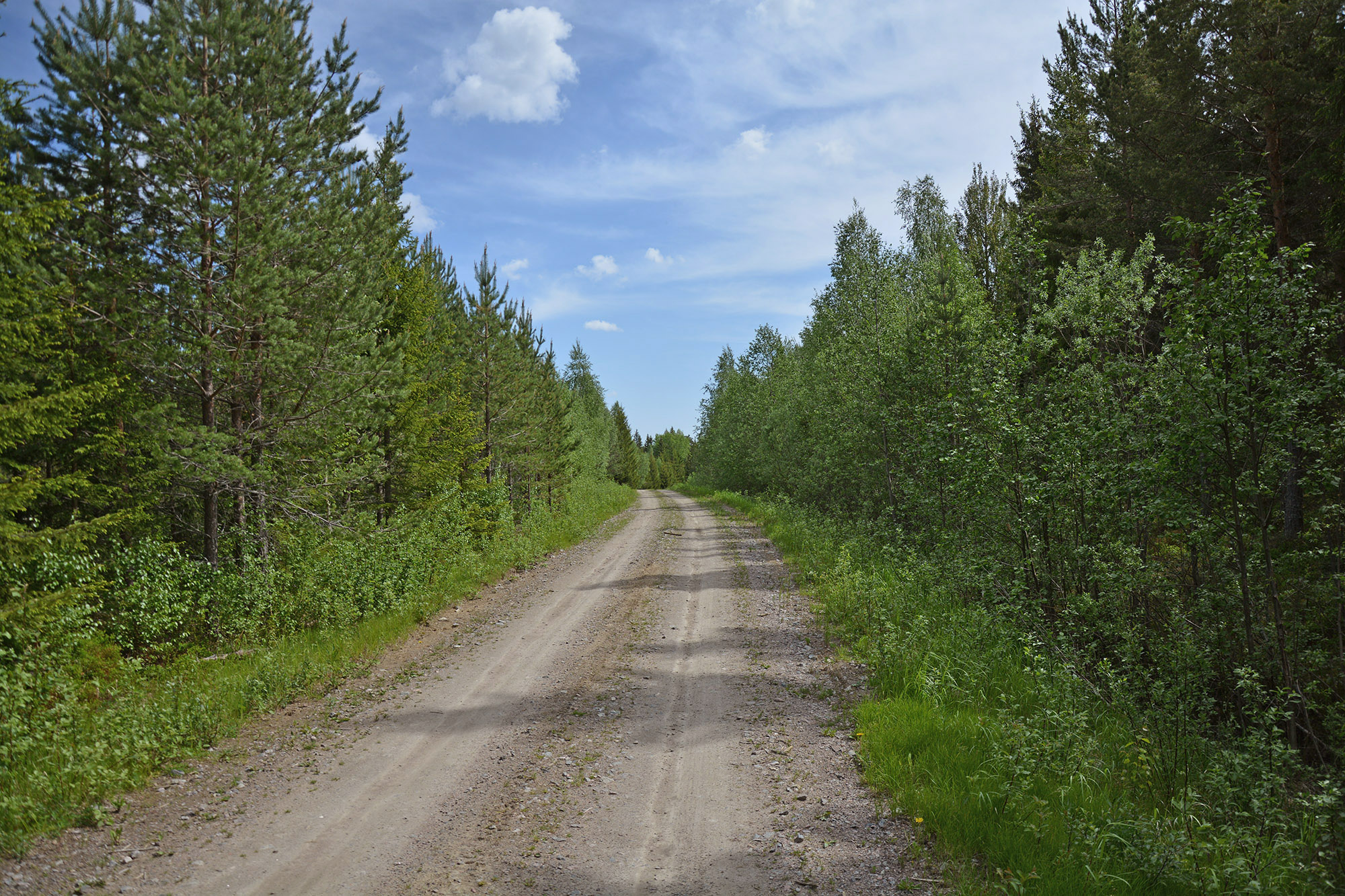 Röste.nu – Röstebilder – Blandade sommarbilder från Röste 2020