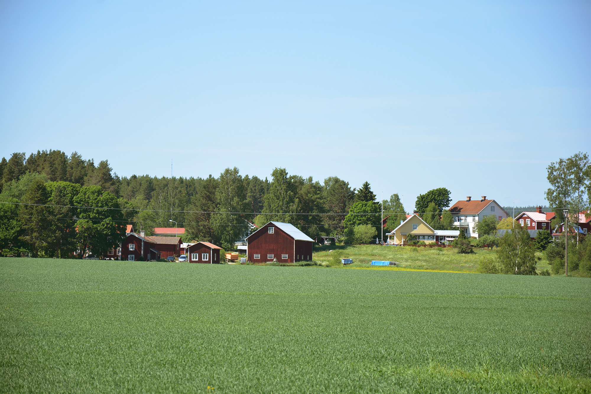 Röste.nu – Röstebilder – Blandade sommarbilder från Röste 2020