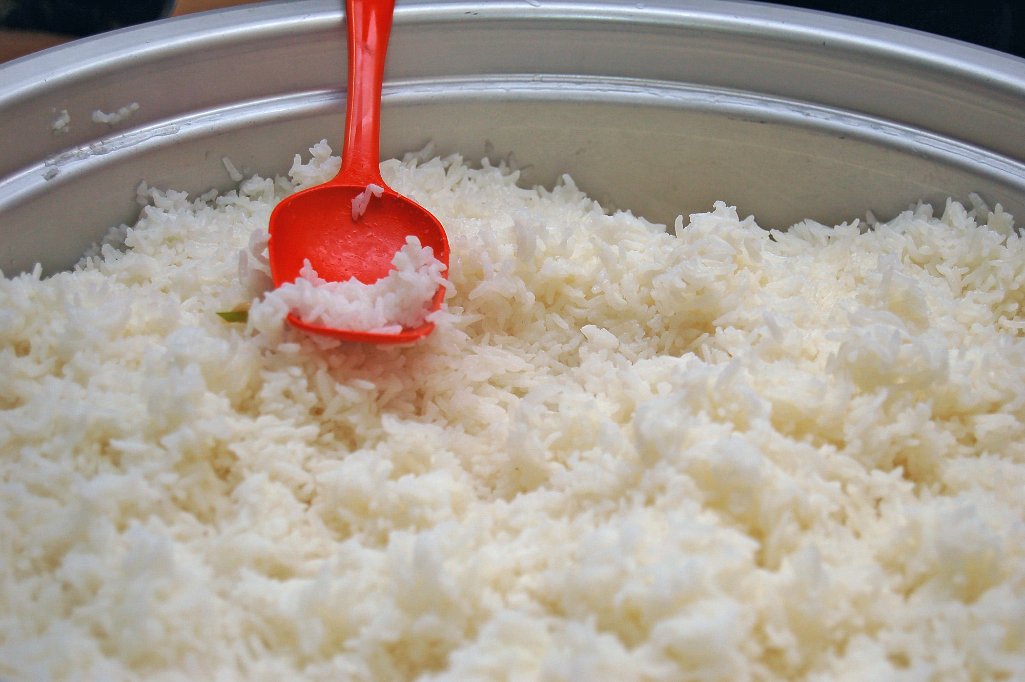 Röste.nu – Röstebilder – Föreningsstämma med thailändsk middag 2009