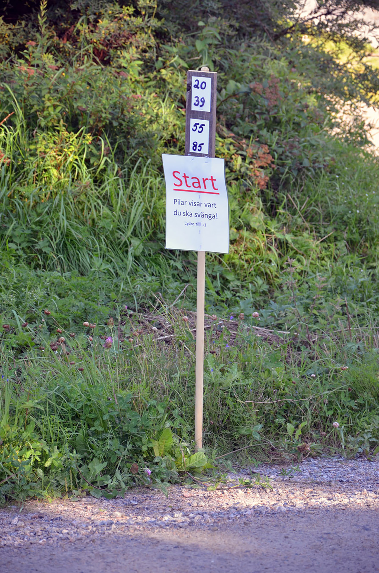 Röste.nu – Röstebilder – Gåbingo i Röste 2020 – 19 augusti