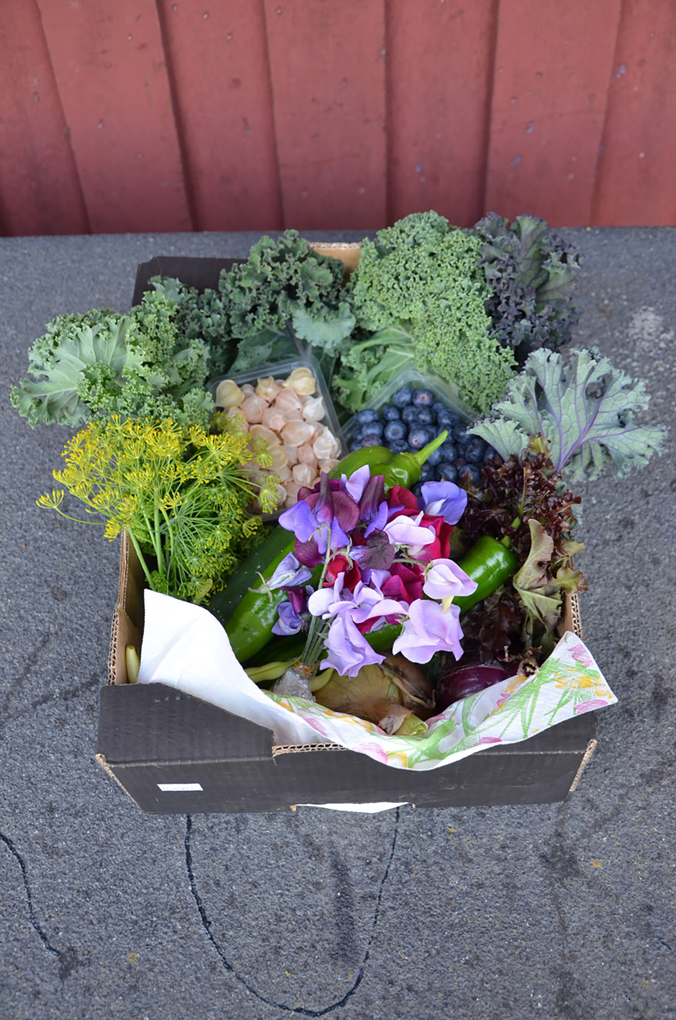 Röste.nu – Röstebilder – Gåbingo i Röste 2020 – 19 augusti