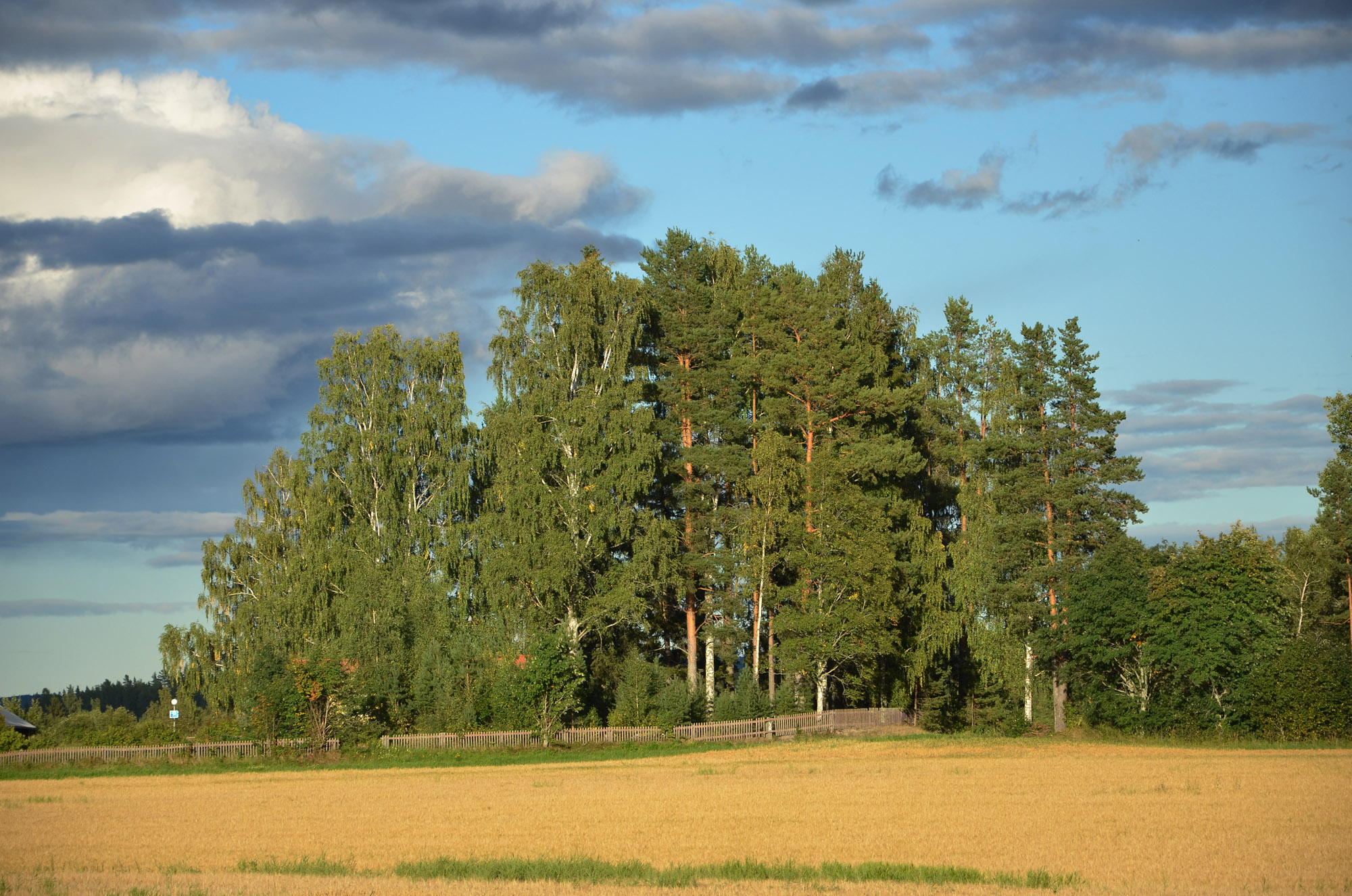 Röste.nu – Röstebilder – Gåbingo i Röste 2020 – 26 augusti