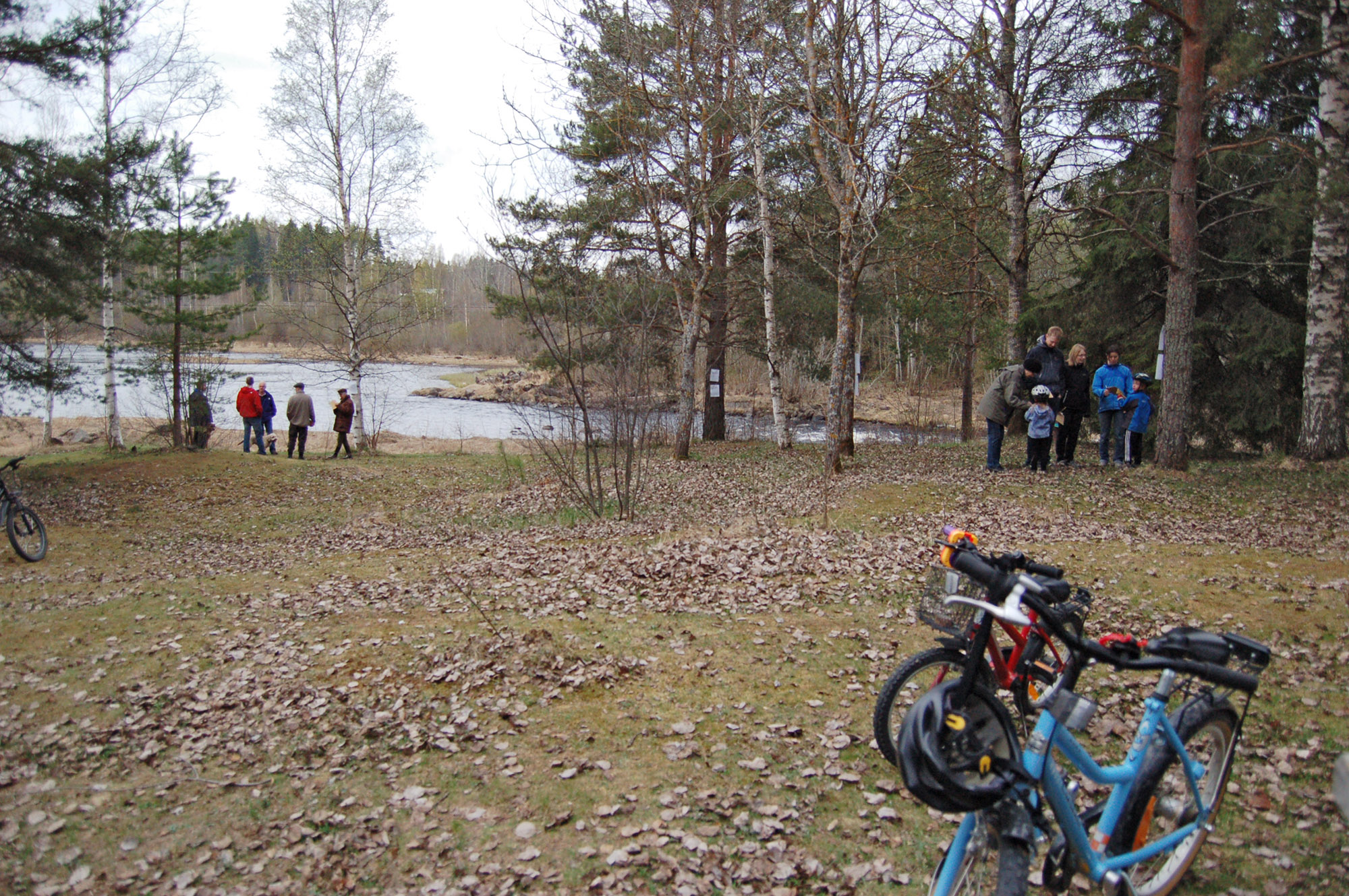 Röste.nu – Röstebilder – Gökotta på Per-Ers udde 2010