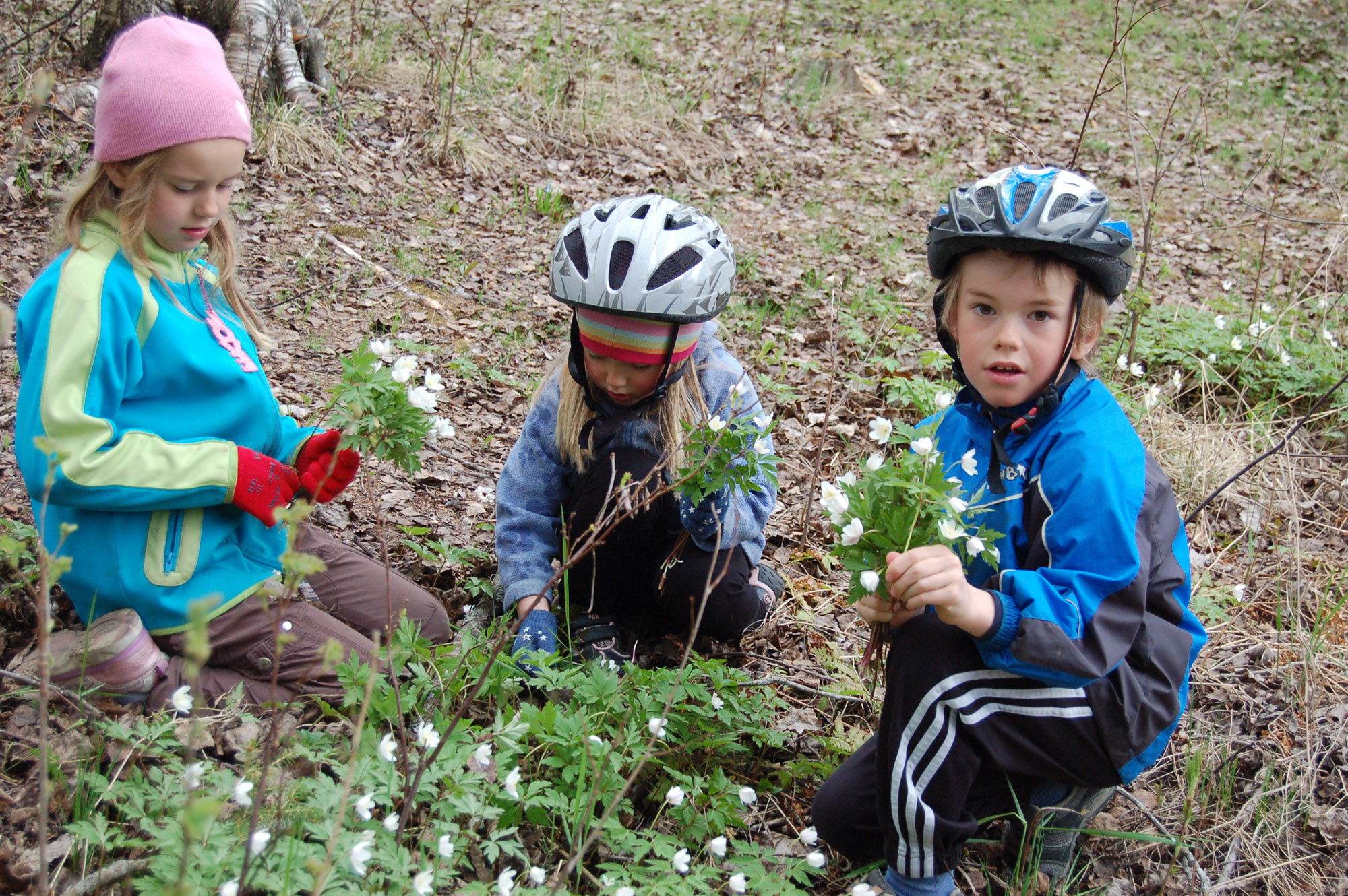 Röste.nu – Röstebilder – Gökotta på Per-Ers udde 2010
