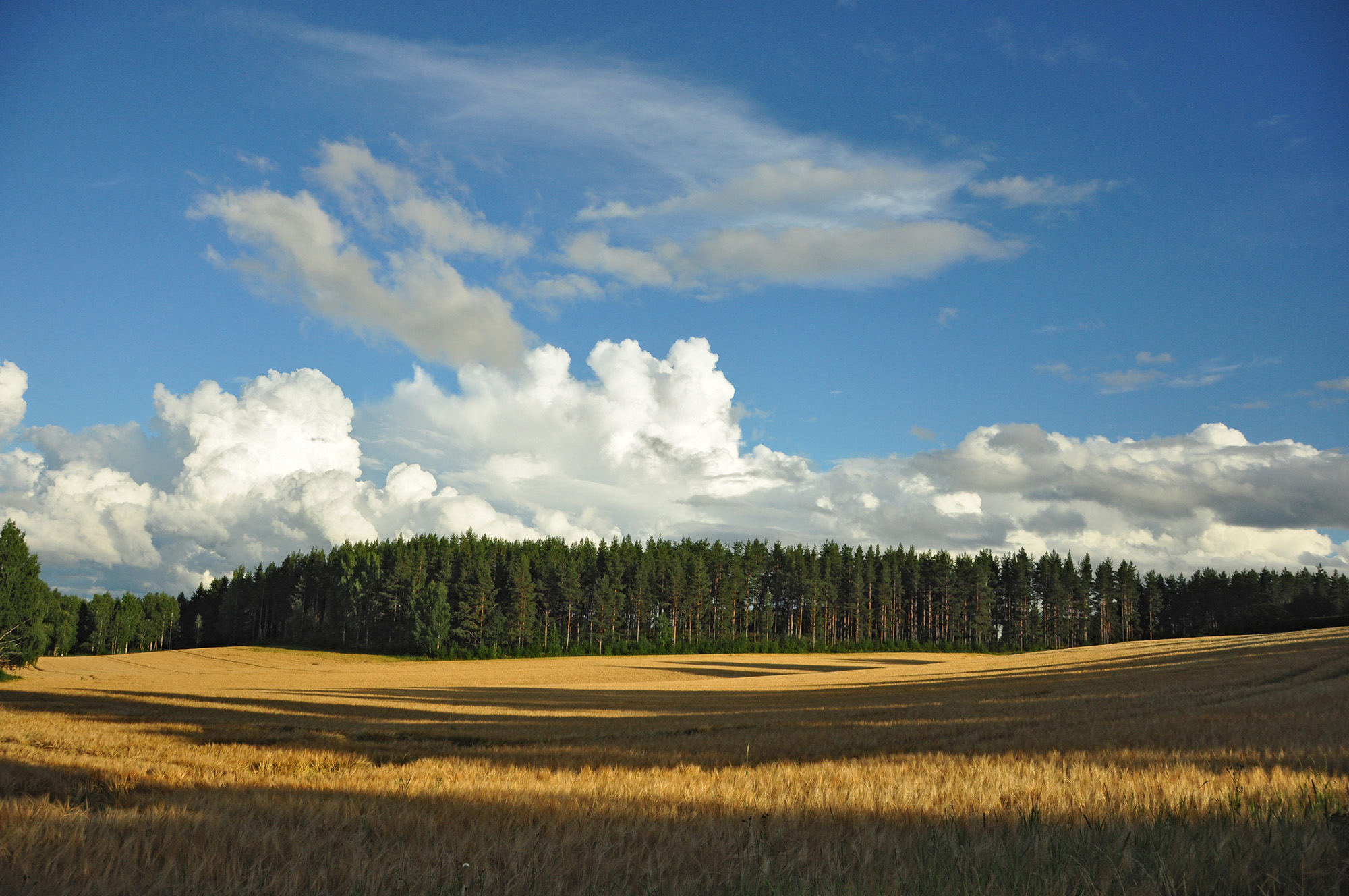 Röste.nu – Röstebilder – Grill- och familjefest på Dönjegården 2013