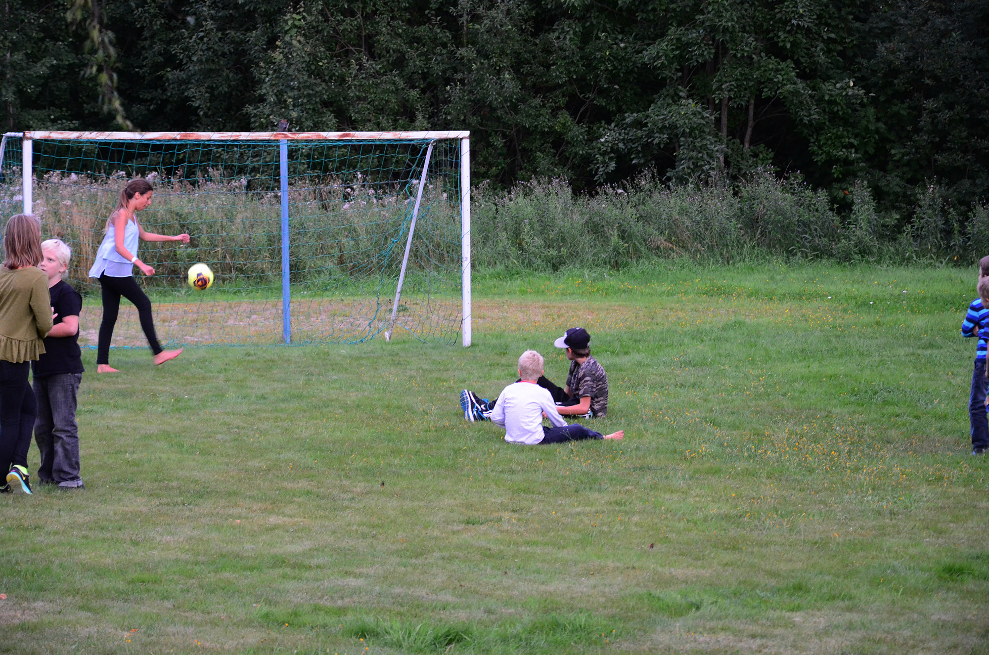 Röste.nu – Röstebilder – Grill- och familjefest på Dönjegården 2014