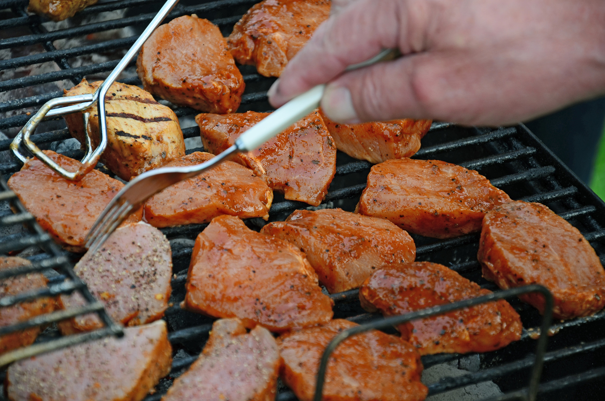 Röste.nu – Röstebilder – Grill- och familjefest på Dönjegården 2014