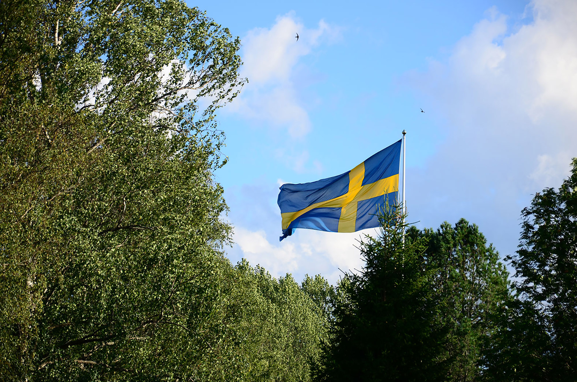 Röste.nu – Röstebilder – Grill- och familjefest på Dönjegården 2015