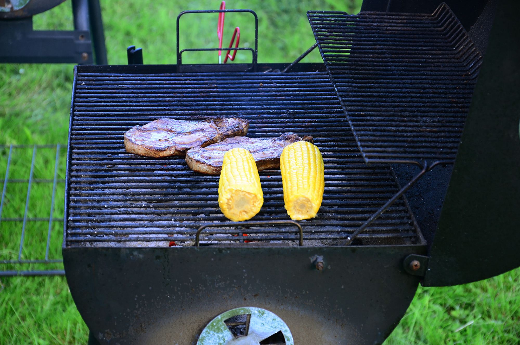 Röste.nu – Röstebilder – Grill- och familjefest på Dönjegården 2015