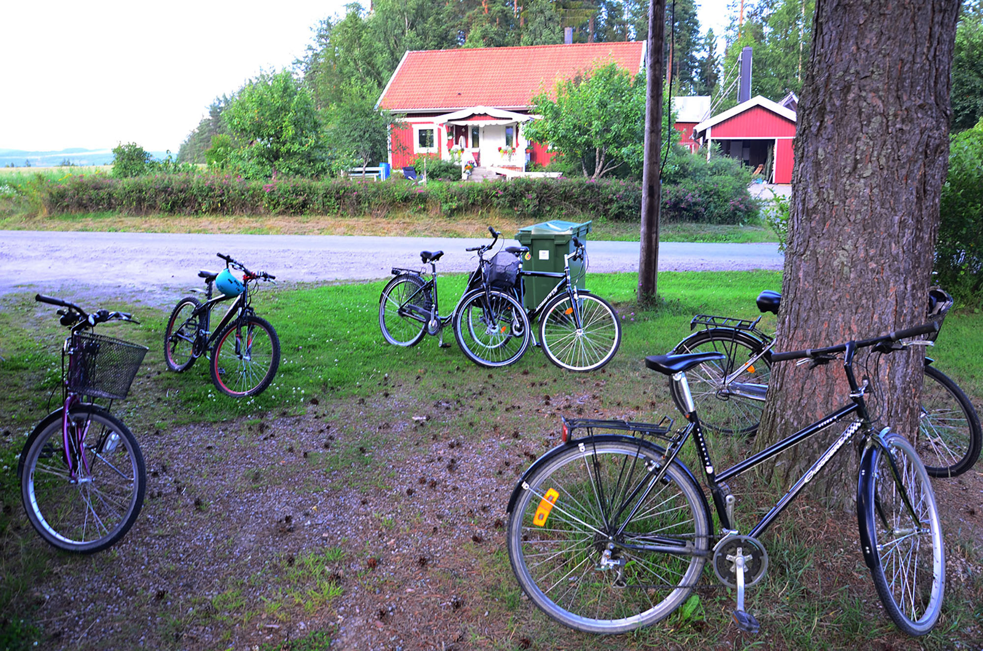 Röste.nu – Röstebilder – Grill- och familjefest på Dönjegården 2015