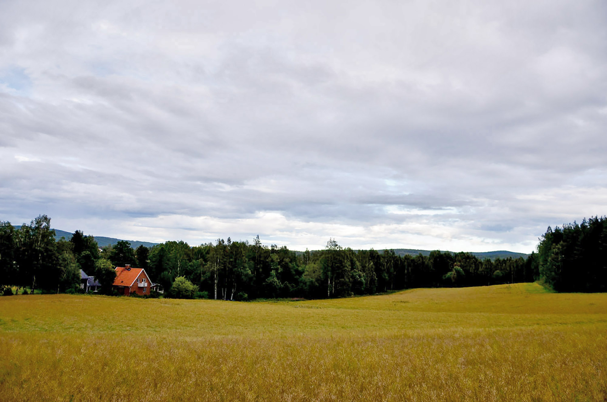 Röste.nu – Röstebilder – Grill- och familjefest på Dönjegården 2016