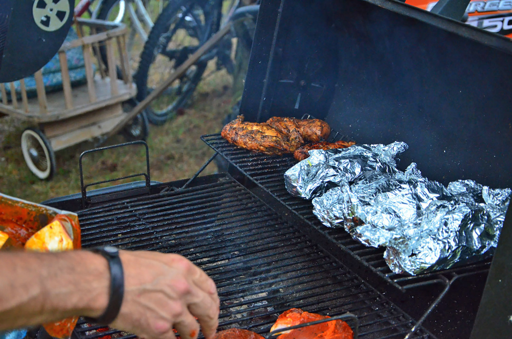 Röste.nu – Röstebilder – Grill- och familjefest på Dönjegården 2016