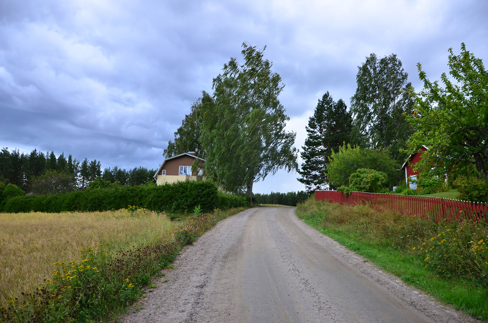 Röste.nu – Röstebilder – Grill- och familjefest på Dönjegården 2016