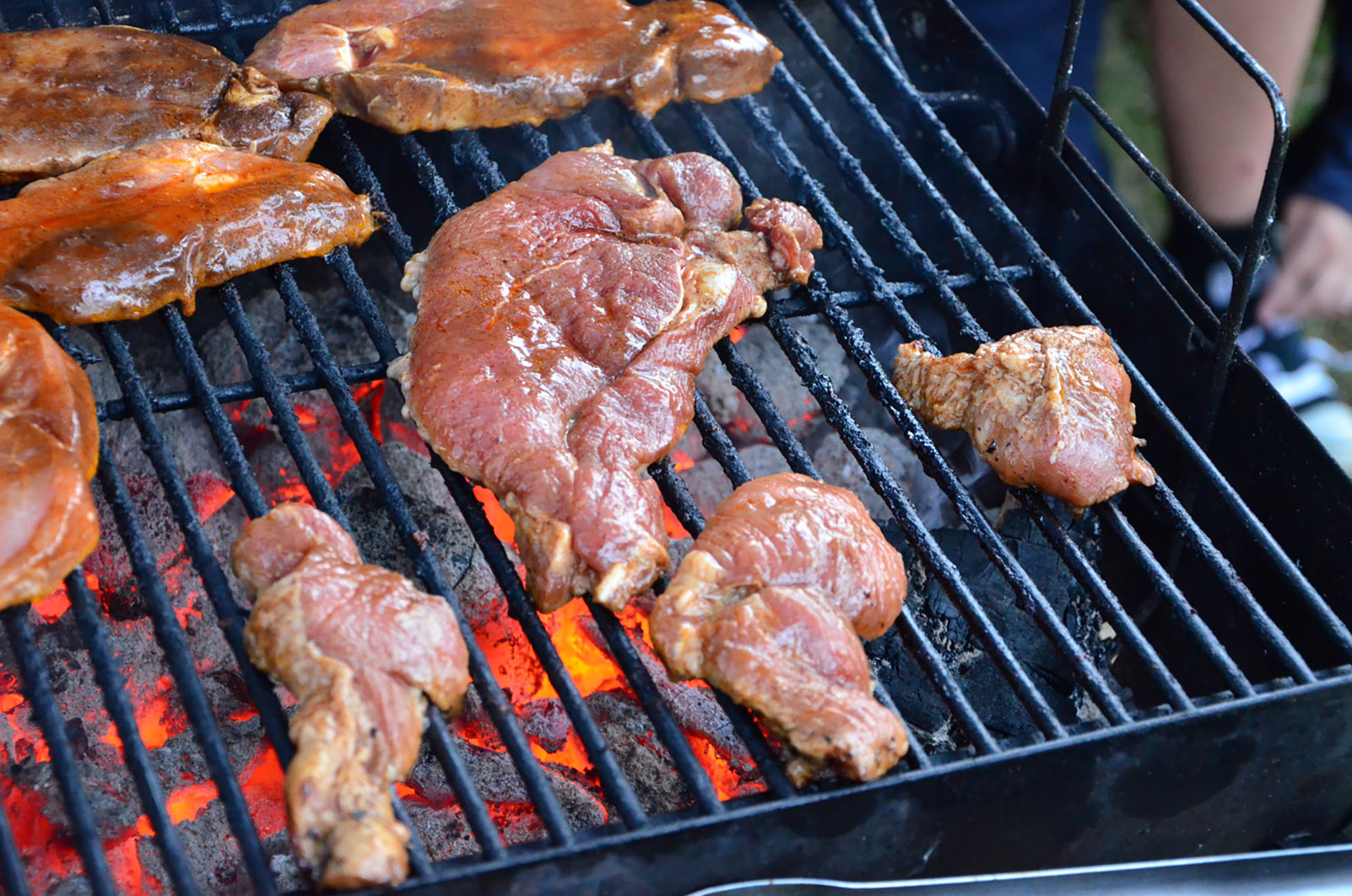 Röste.nu – Röstebilder – Grill- och familjefest på Dönjegården 2016