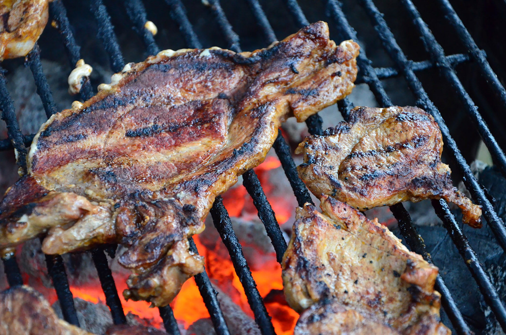 Röste.nu – Röstebilder – Grill- och familjefest på Dönjegården 2016