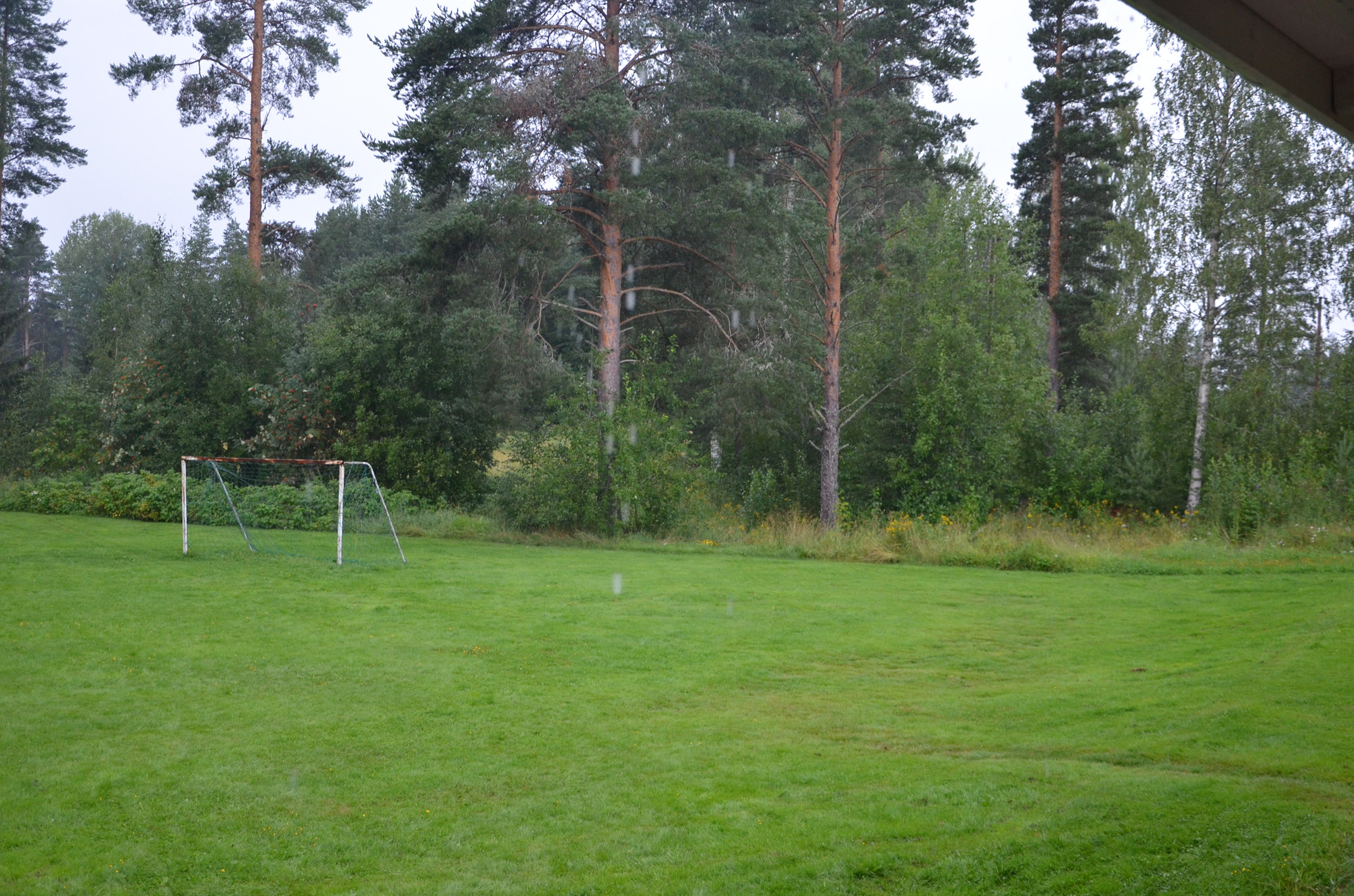 Röste.nu – Röstebilder – Grill- och familjefest på Dönjegården 2019