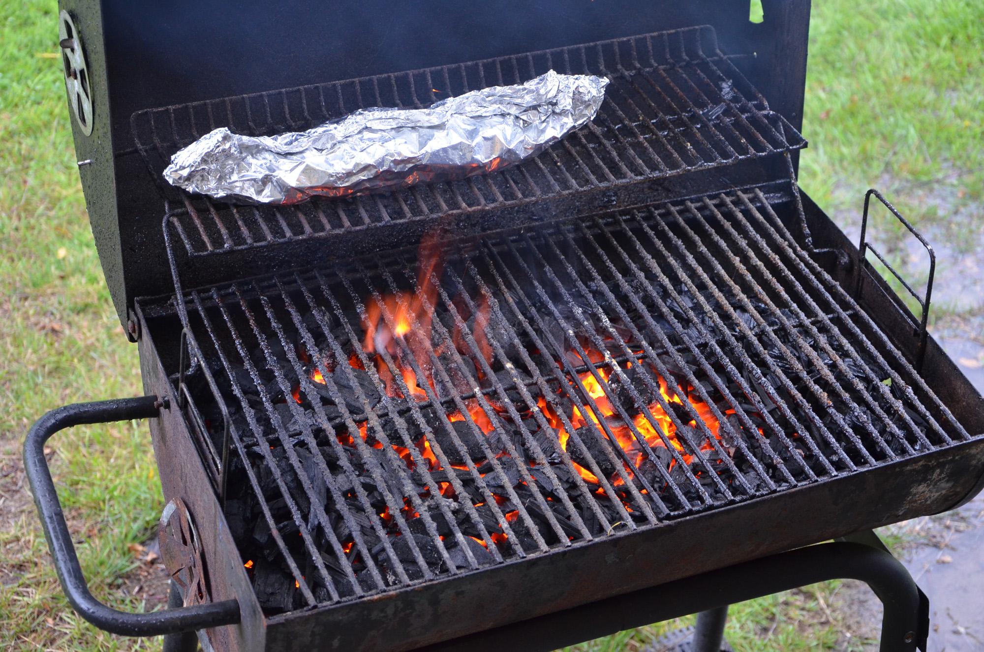 Röste.nu – Röstebilder – Grill- och familjefest på Dönjegården 2019