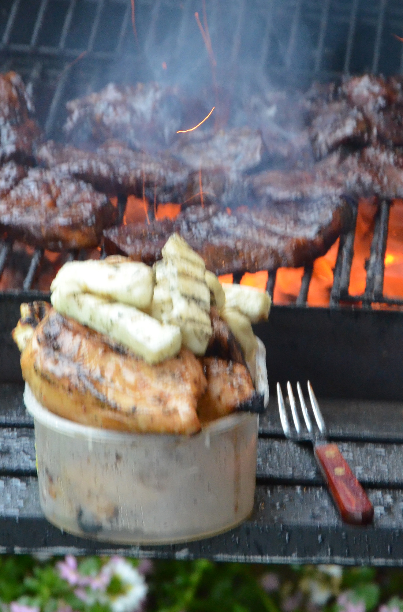 Röste.nu – Röstebilder – Grill- och familjefest på Dönjegården 2019