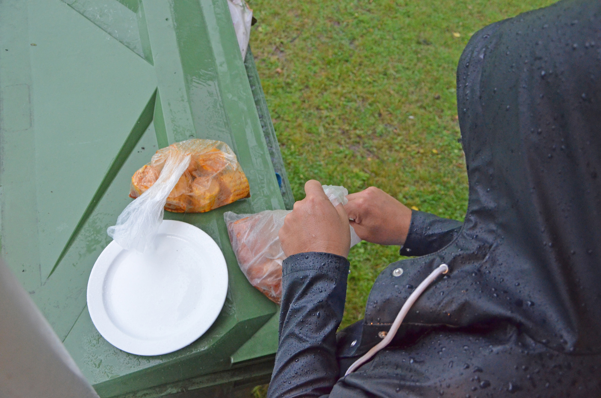 Röste.nu – Röstebilder – Grill- och familjefest på Dönjegården 2019