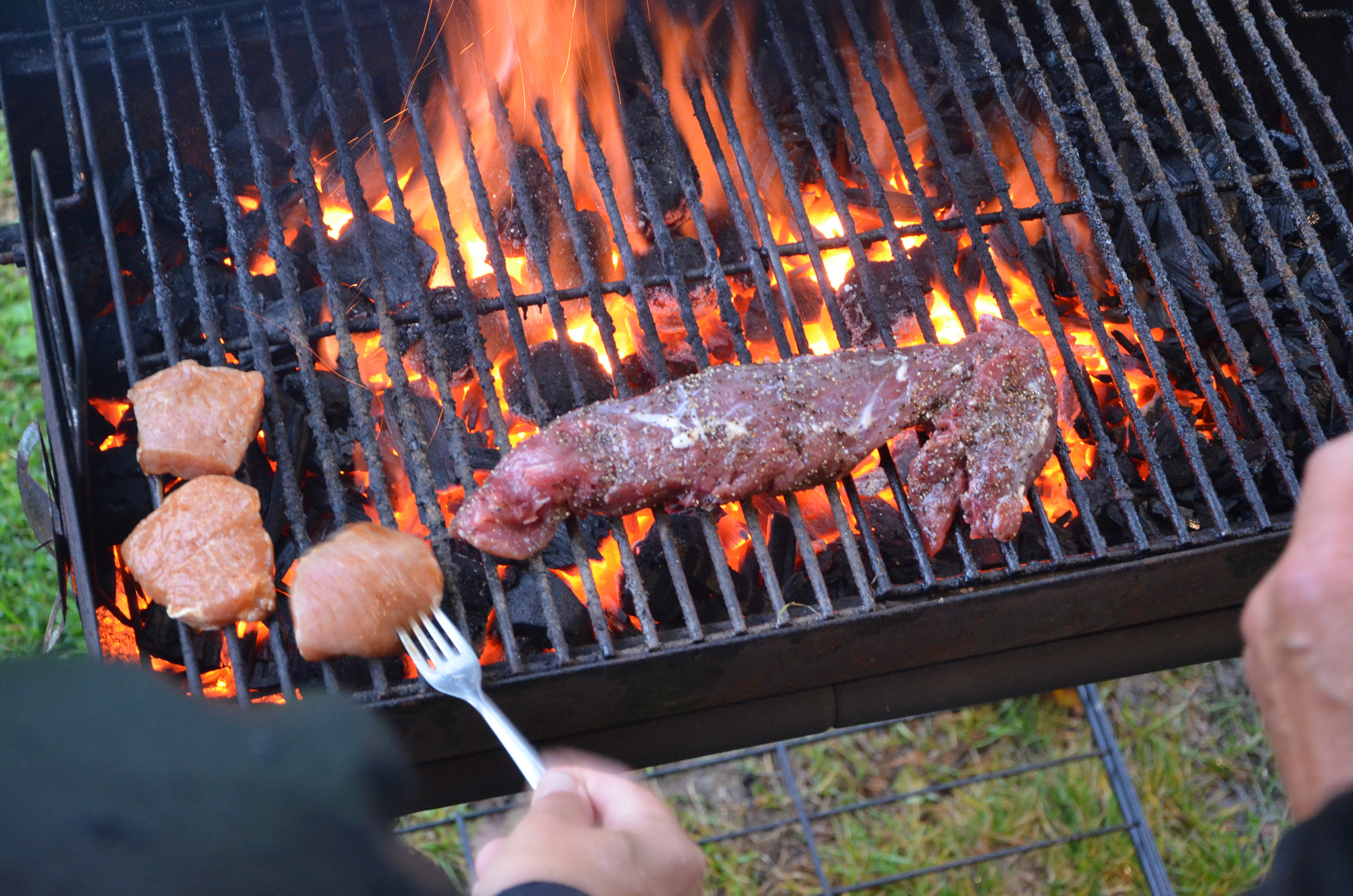Röste.nu – Röstebilder – Grill- och familjefest på Dönjegården 2019