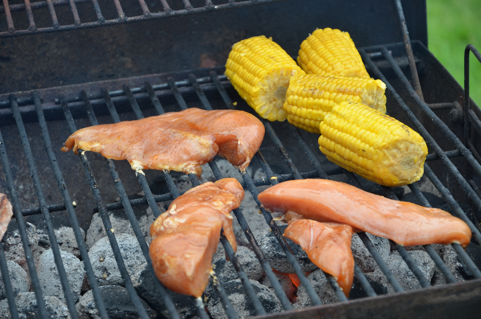 Röste.nu – Röstebilder – Grill- och familjefest på Dönjegården 2021