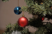 Röste.nu – Röstebilder – Grötfest i Dönjegården 2025