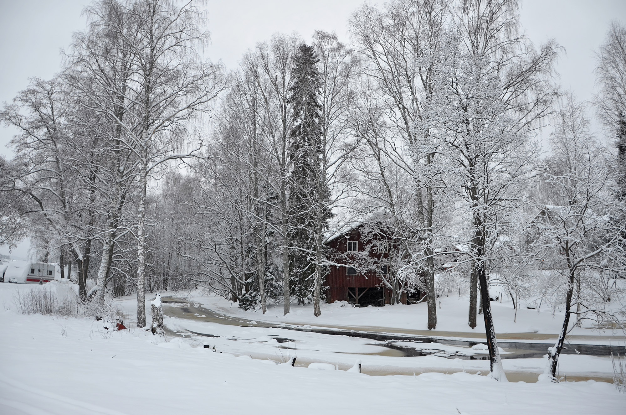 Röste.nu – Röstebilder – Grötfest med lucia i Dönjegården 2023