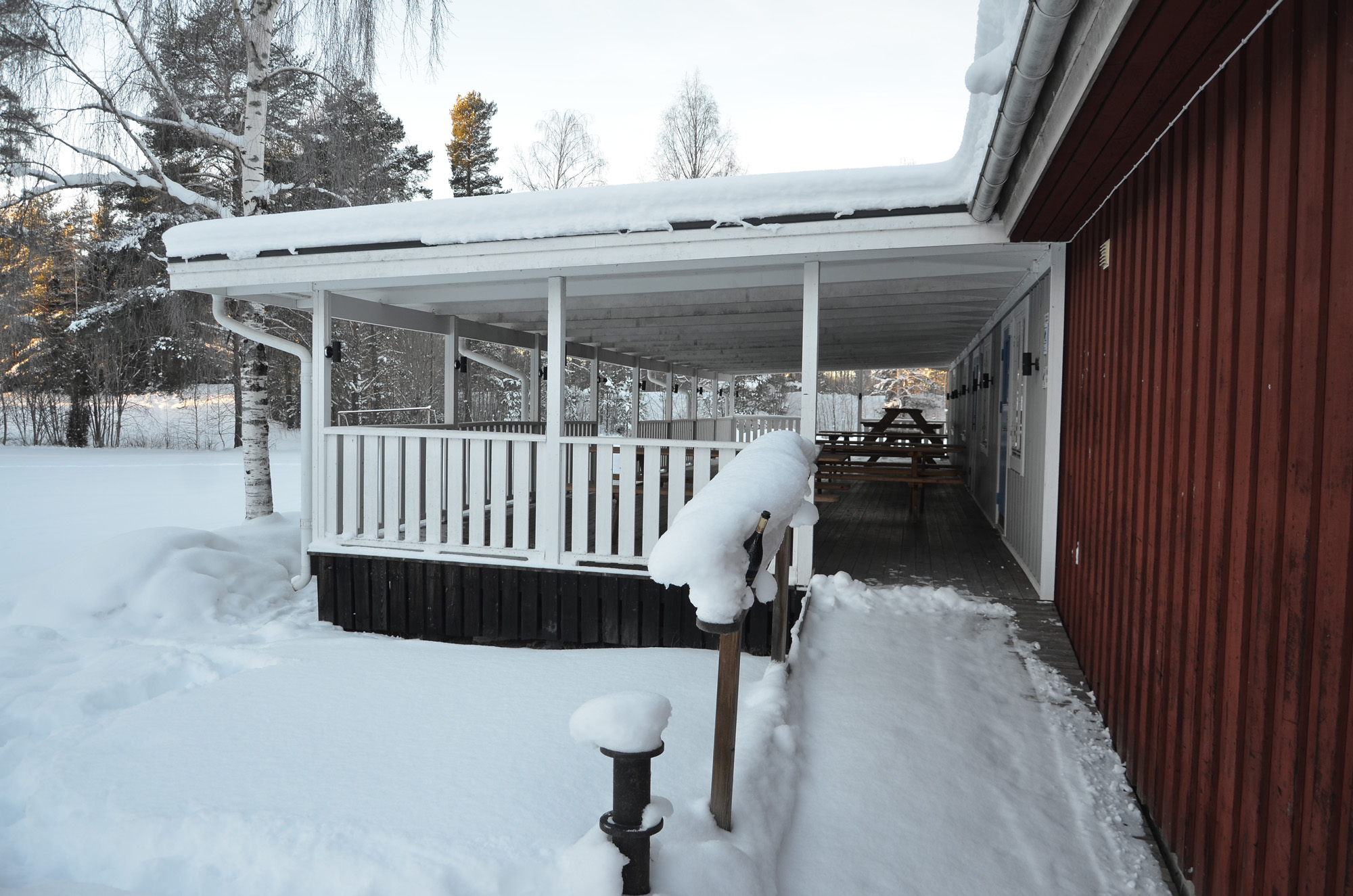 Röste.nu – Röstebilder – Julgransplundring i Dönjegården 2024