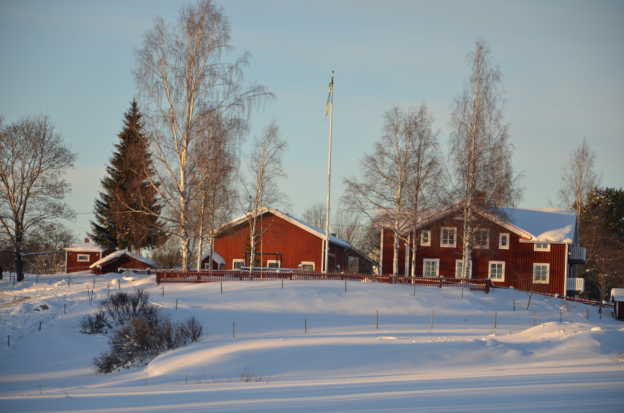Röste.nu – Röstebilder – Julgransplundring i Dönjegården 2024