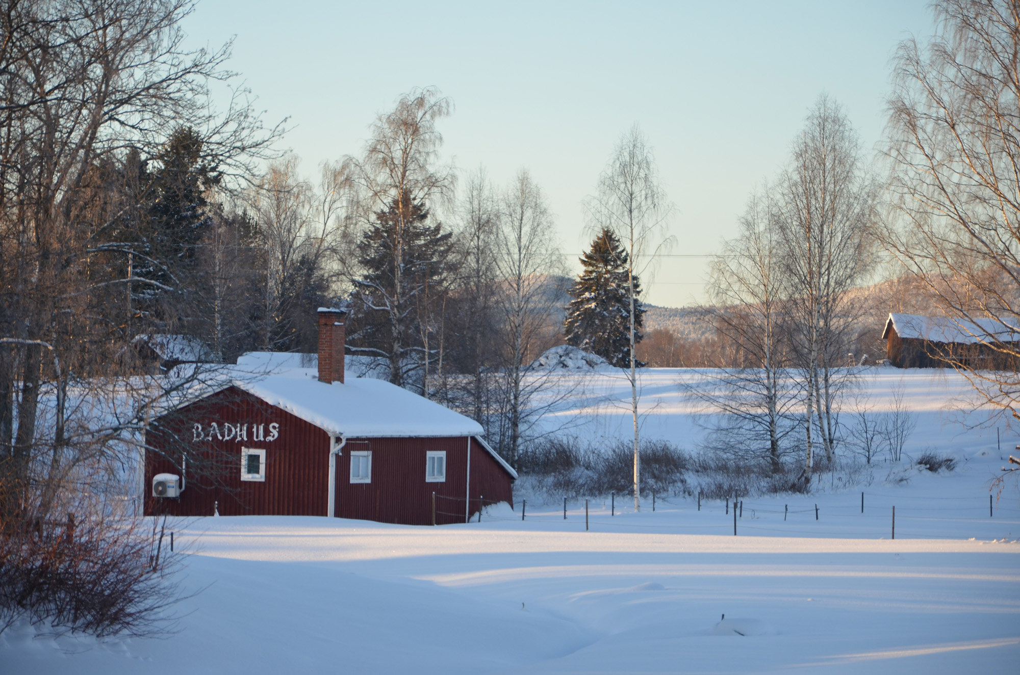 Röste.nu – Röstebilder – Julgransplundring i Dönjegården 2024