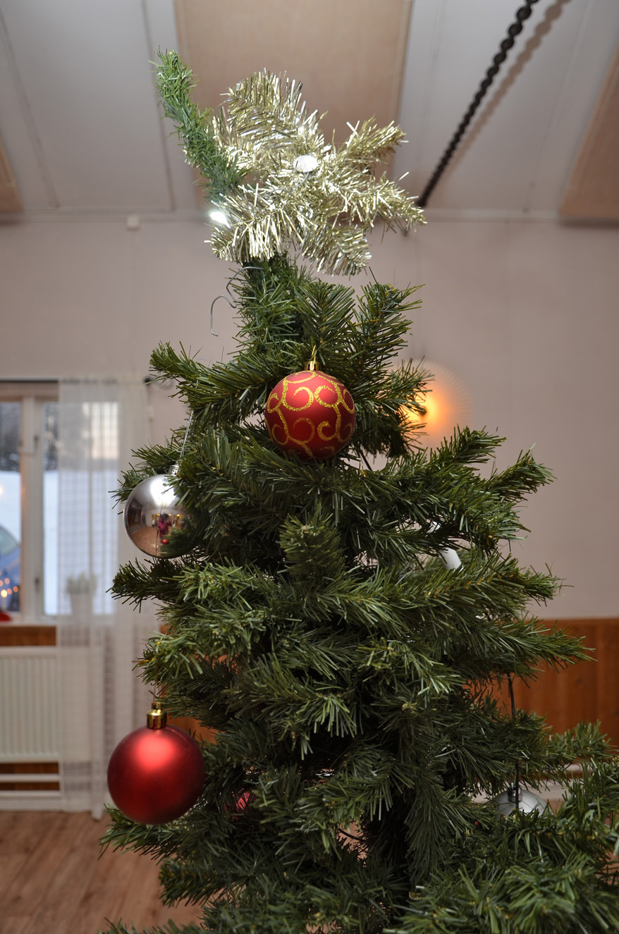 Röste.nu – Röstebilder – Julgransplundring i Dönjegården 2024