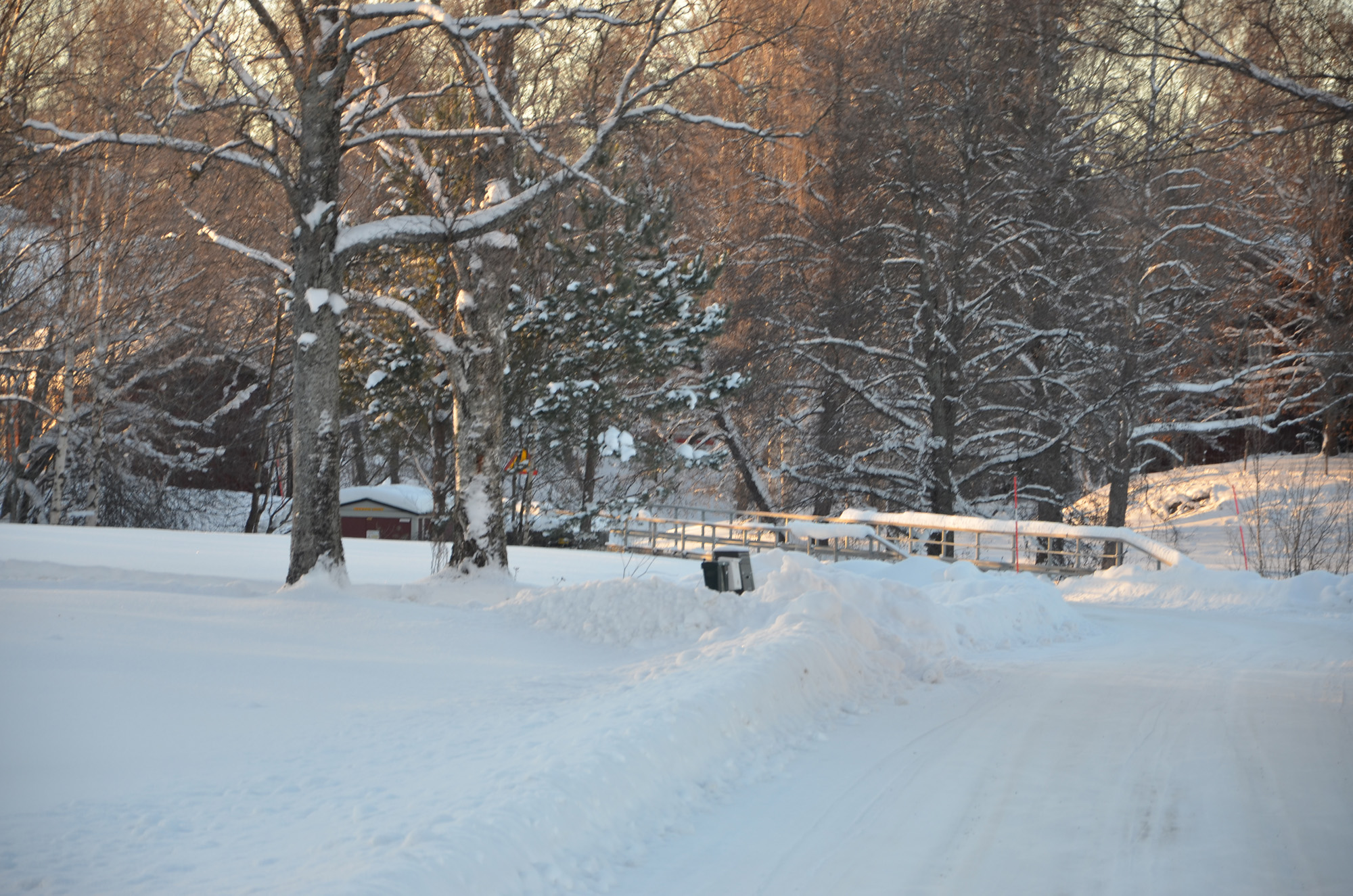 Röste.nu – Röstebilder – Julgransplundring i Dönjegården 2024