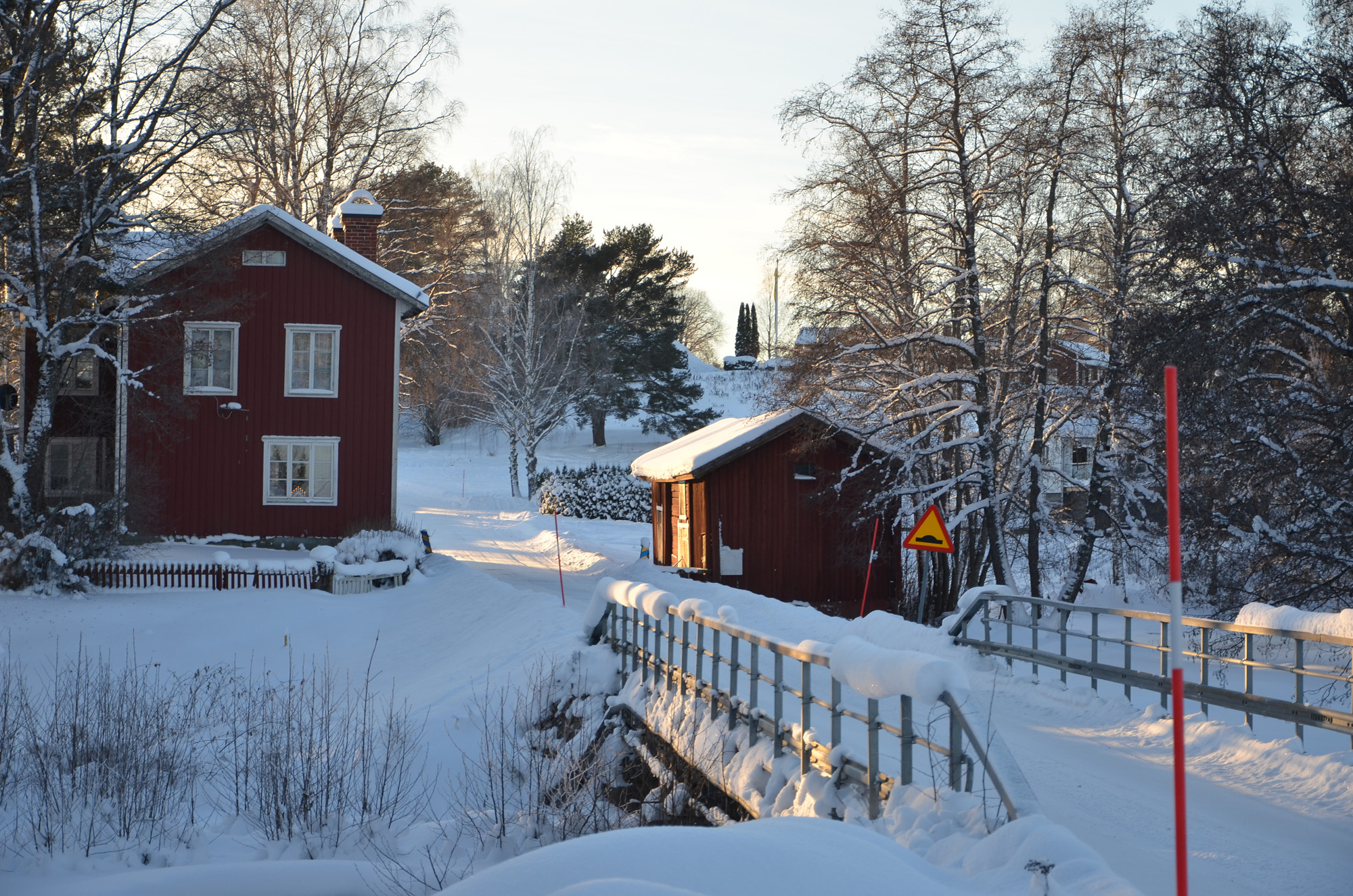 Röste.nu – Röstebilder – Julgransplundring i Dönjegården 2024