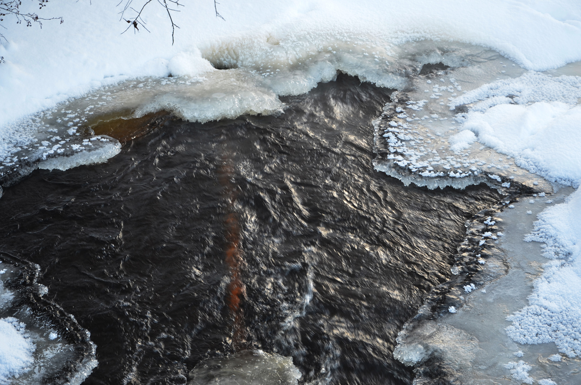 Röste.nu – Röstebilder – Julgransplundring i Dönjegården 2024