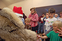 Röste.nu – Röstebilder – Julgransplundring i Dönjegården 2011