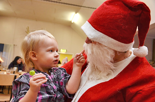 Röste.nu – Röstebilder – Julgransplundring i Dönjegården 2014
