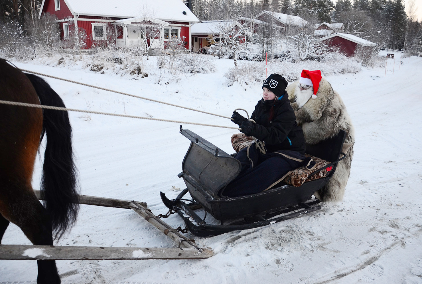 Röste.nu – Röstebilder – Julgransplundring i Dönjegården 2016