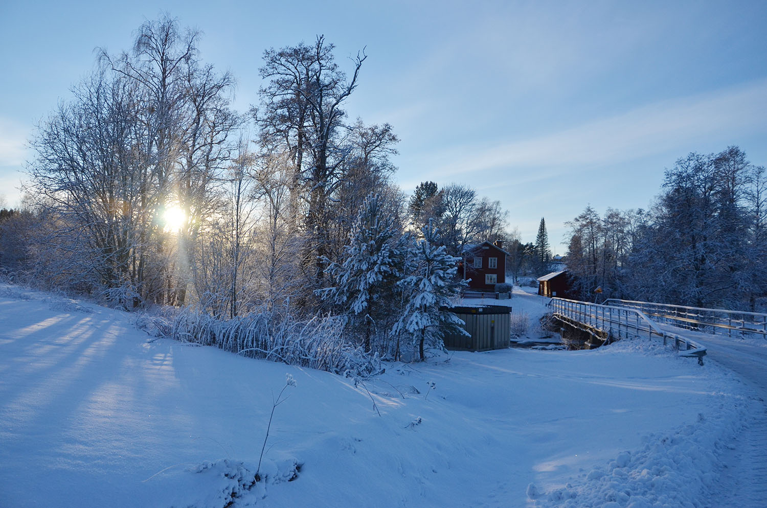 Röste.nu – Röstebilder – Julgransplundring i Dönjegården 2017