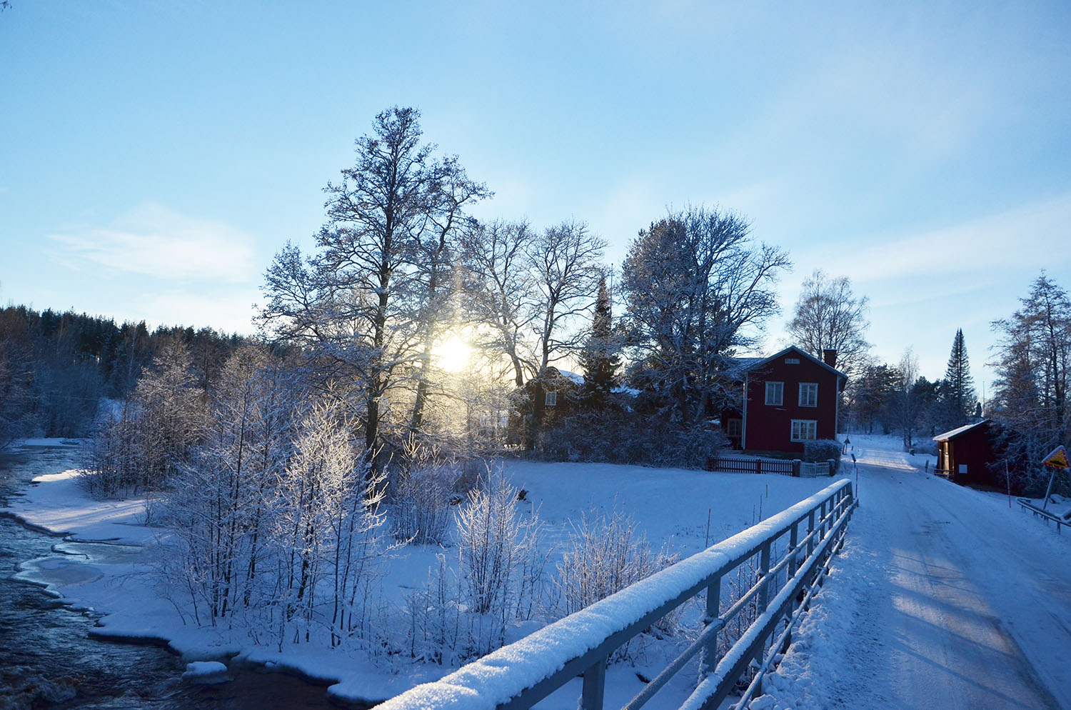 Röste.nu – Röstebilder – Julgransplundring i Dönjegården 2017
