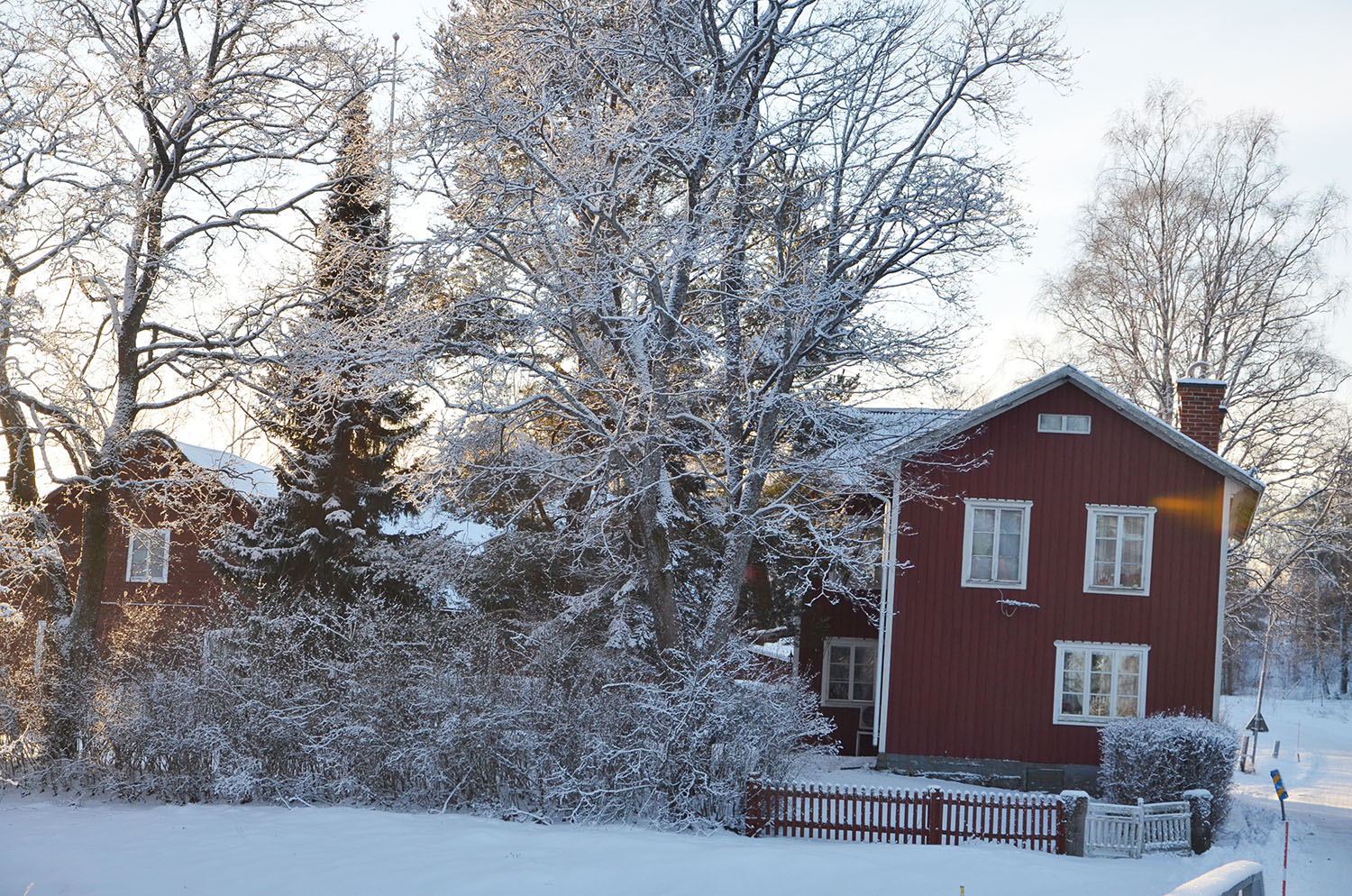 Röste.nu – Röstebilder – Julgransplundring i Dönjegården 2017