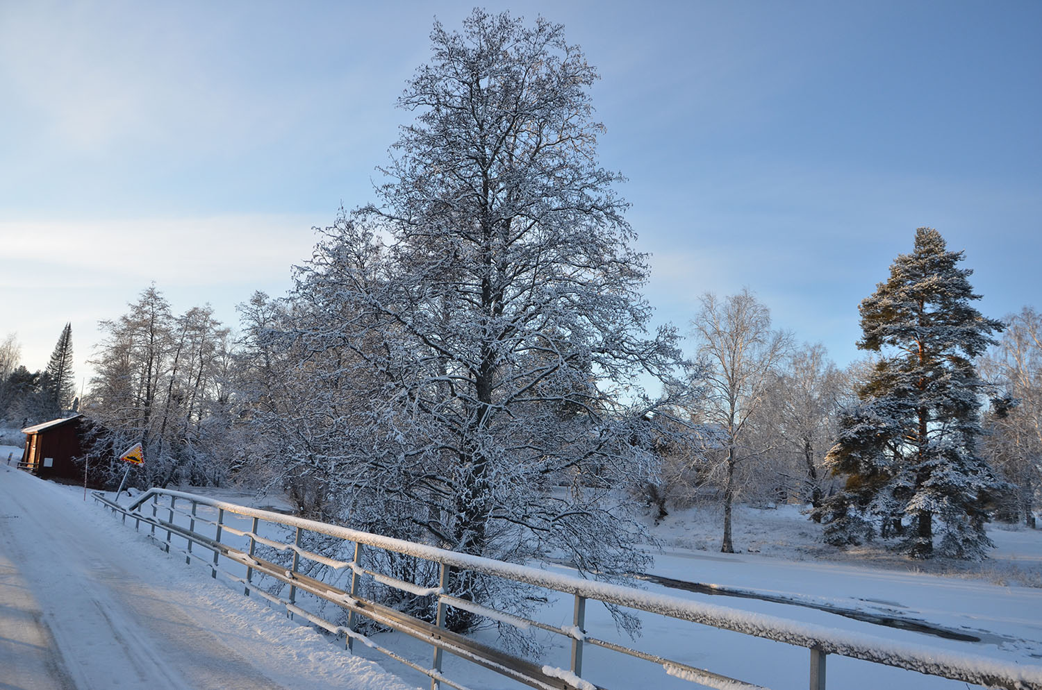 Röste.nu – Röstebilder – Julgransplundring i Dönjegården 2017