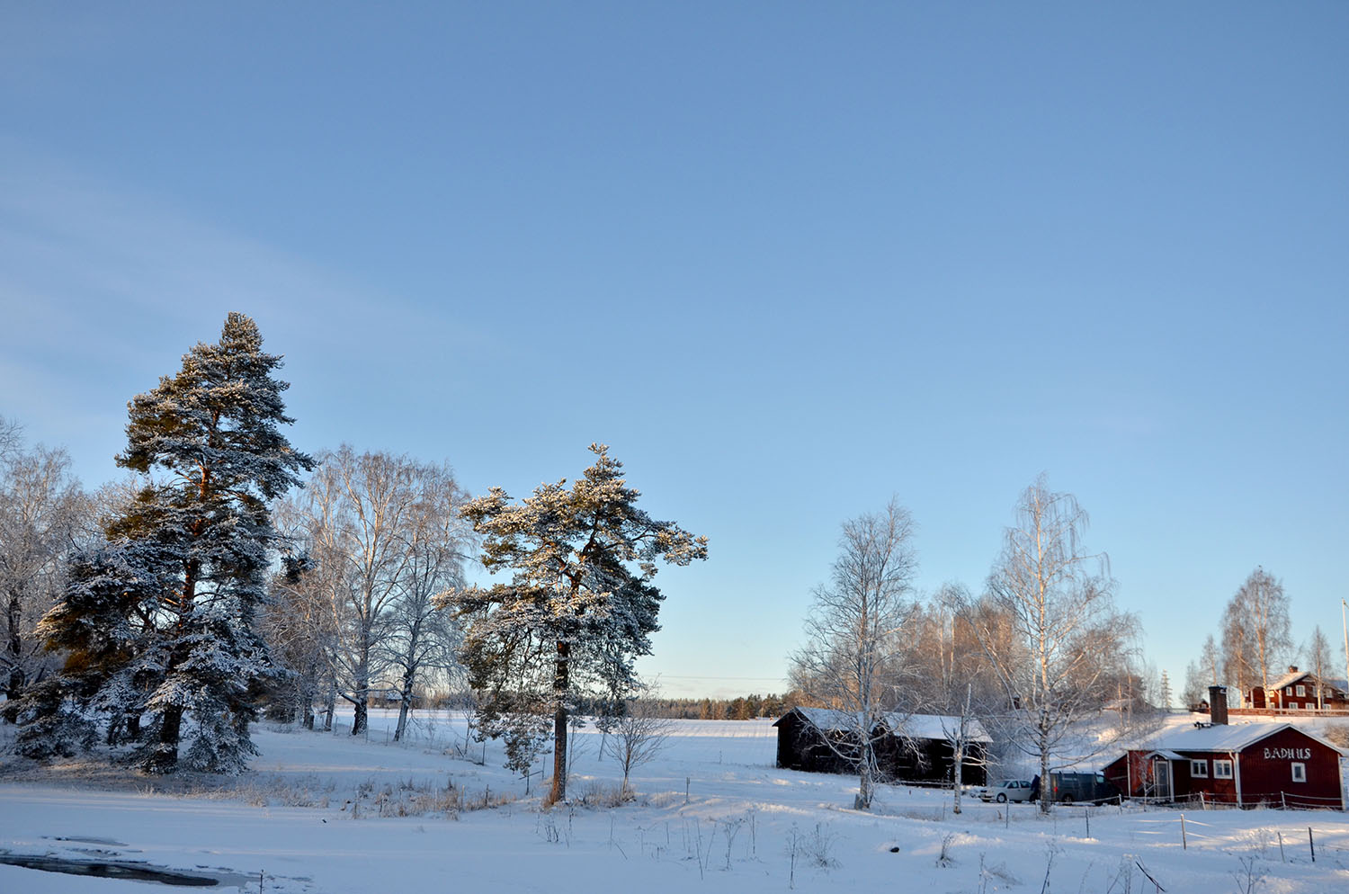 Röste.nu – Röstebilder – Julgransplundring i Dönjegården 2017