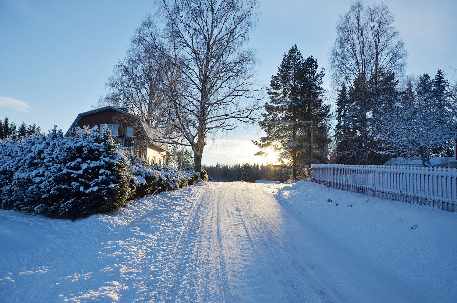 Röste.nu – Röstebilder – Julgransplundring i Dönjegården 2017